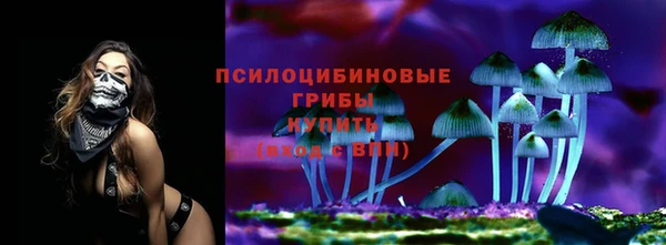 спиды Алзамай