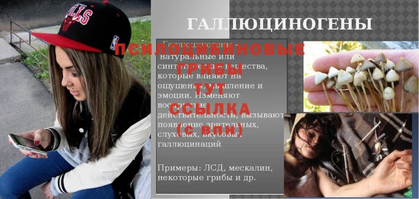 спиды Алзамай