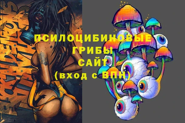 прущие крисы Абаза