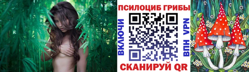 Галлюциногенные грибы Magic Shrooms  где можно купить наркотик  Грязи 
