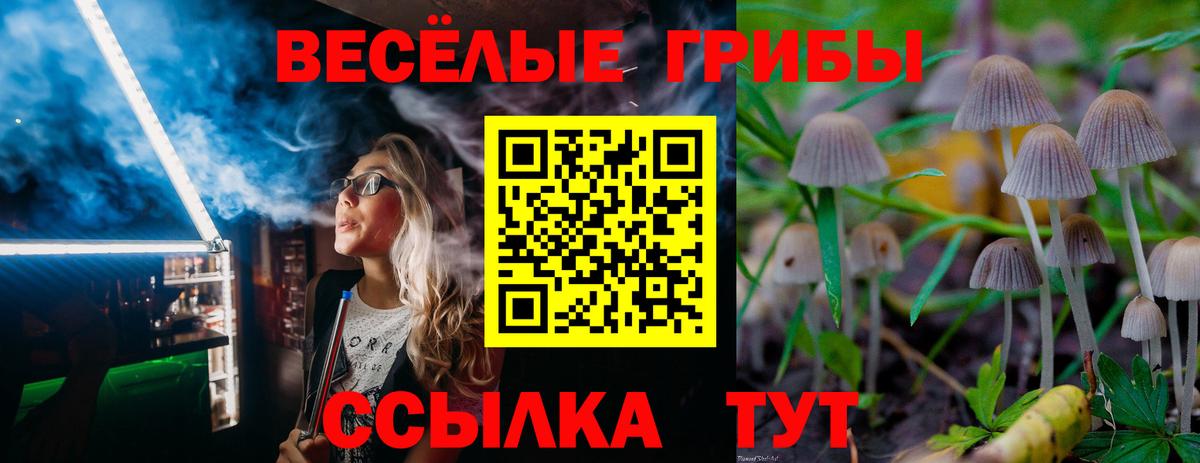 Псилоцибиновые грибы мицелий Грязи